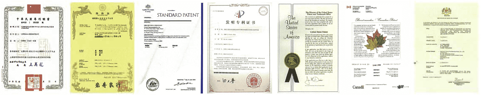 モリライトの特許・証明書のイメージ