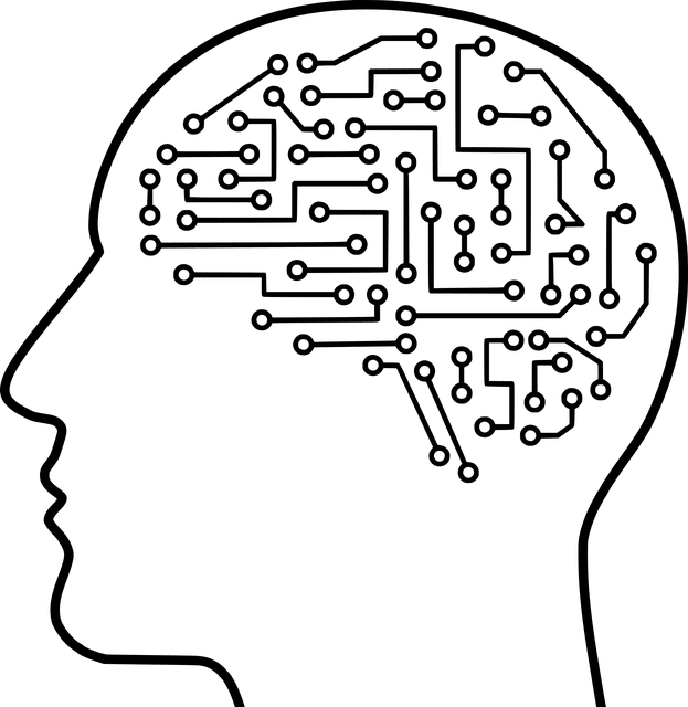 machine learning, information, brain